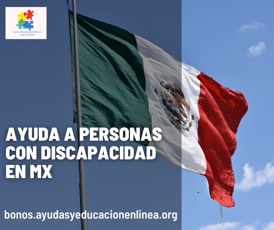 Ayuda a personas con discapacidad en MX