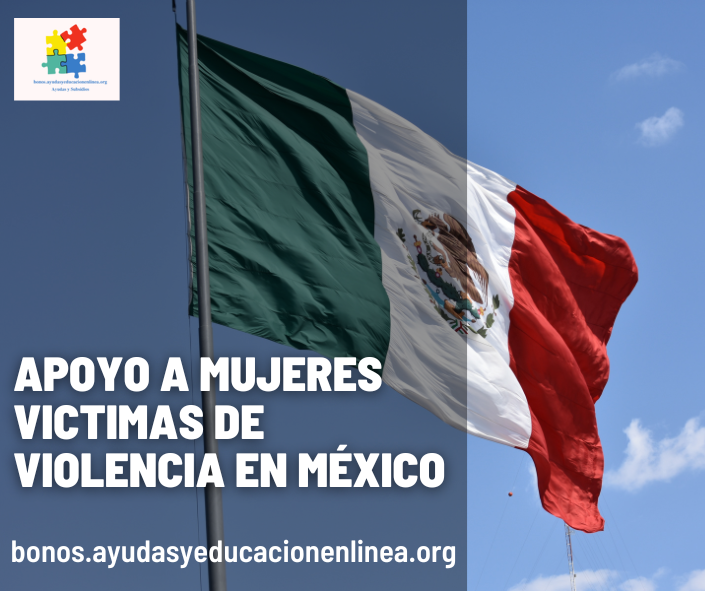 Apoyo a mujeres victimas de violencia en México
